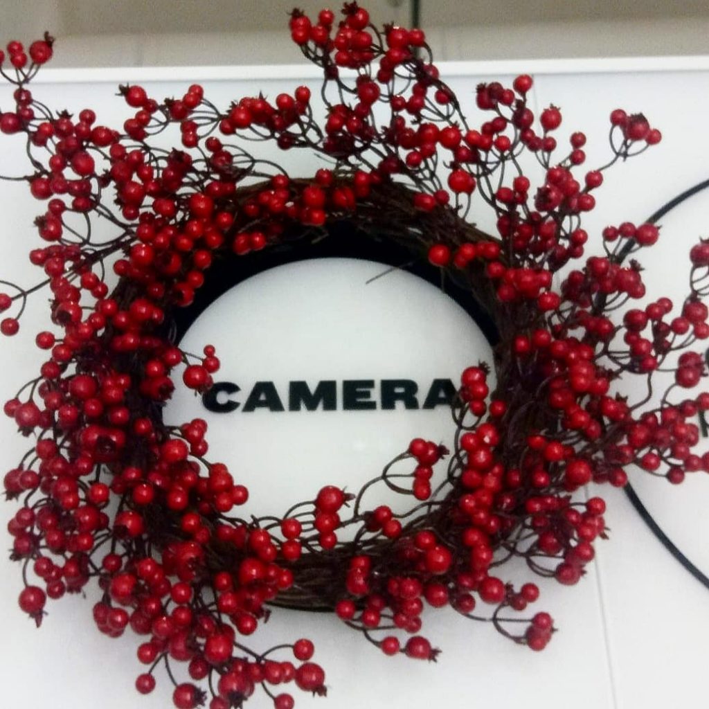 LogoCAMERA