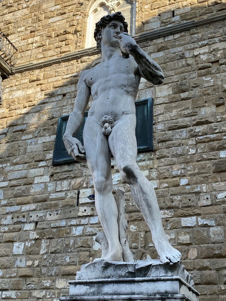 David Michelangelo Firenze