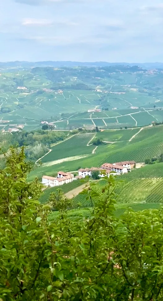 Cosa vedere e fare nella capitale del vino Piemontese