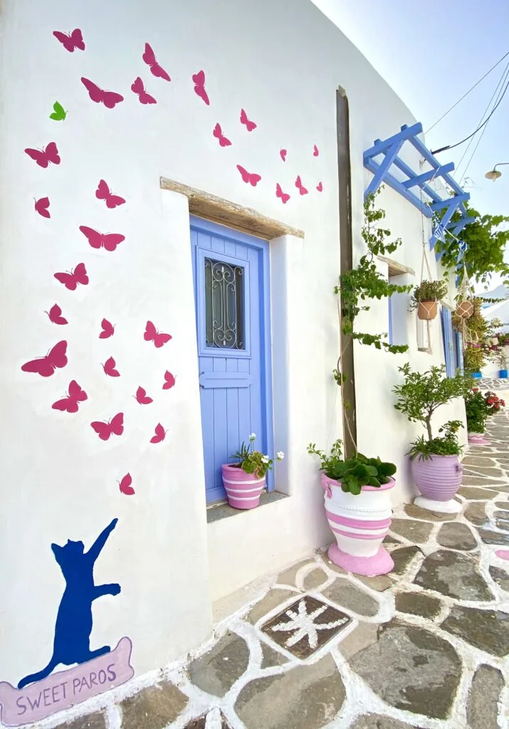 B&B Prodromos