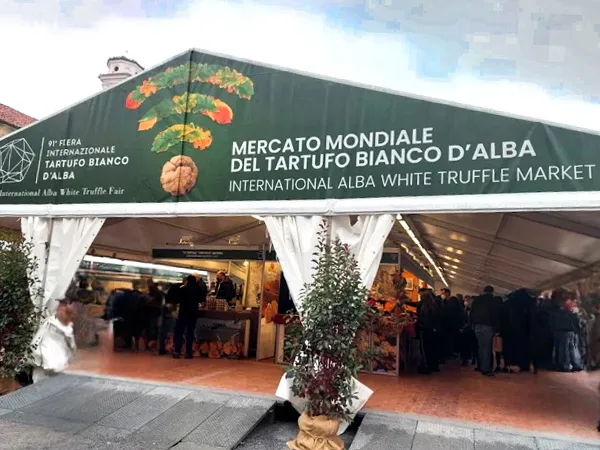 mercato tartufo Alba